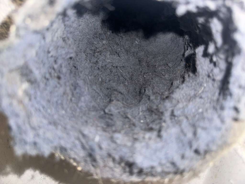 Upholstery Before Cleaning