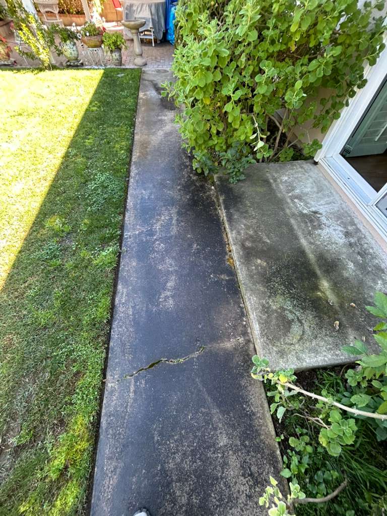 Carpet Before Cleaning