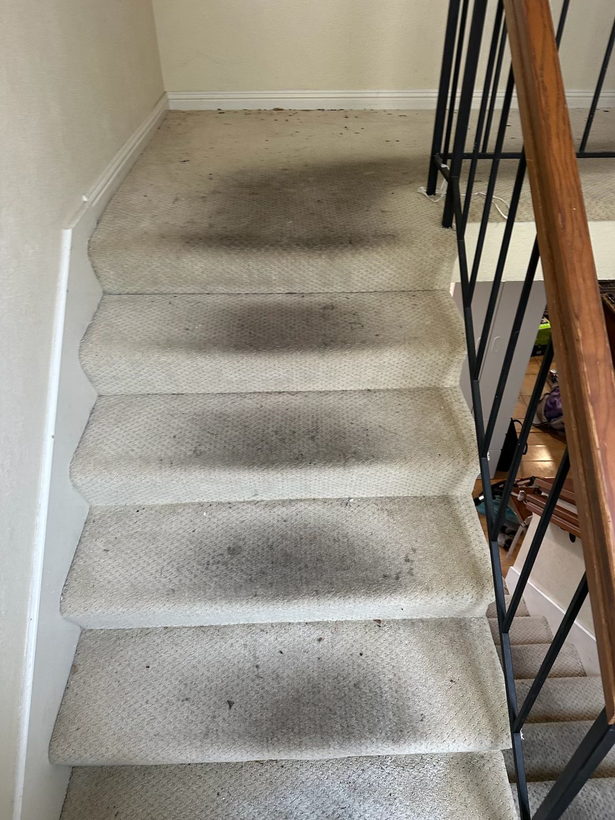 Hardwood Before Cleaning
